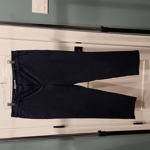 LOFT Riviera slim ankle pant in Deep Space Blue size 12.